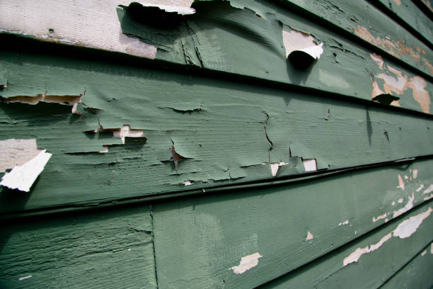 Best Dumpster Rental Services  in Oakville, CT